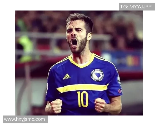 波黑足球明星盘点他们在国际赛场上的辉煌成就与影响力